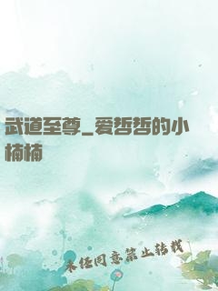 武道至尊