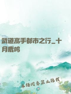 武道高手都市之行