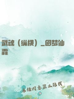 武魂（纵横）