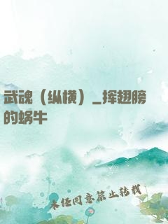 武魂（纵横）