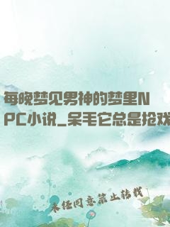 每晚梦见男神的梦里NPC小说