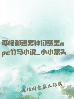 每晚都进男神们梦里npc竹马小说