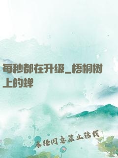 每秒都在升级
