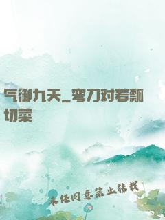 气御九天