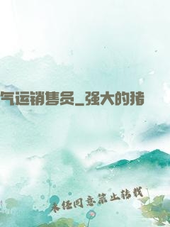 气运销售员