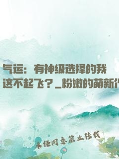 气运：有神级选择的我这不起飞？