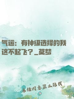 气运：有神级选择的我这不起飞？