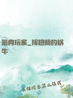 氪肉玩家
