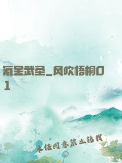 氪金武圣