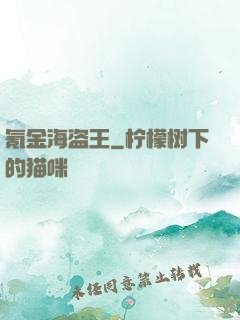 氪金海盗王
