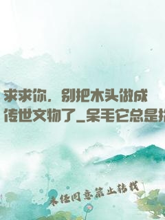 求求你，别把木头做成传世文物了
