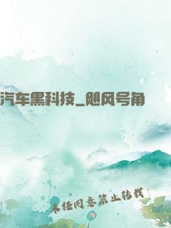汽车黑科技