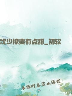 沈少撩妻有点甜