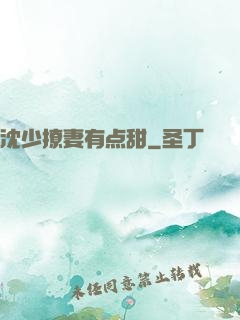 沈少撩妻有点甜