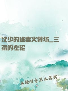 沈少的追妻火葬场