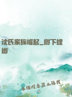 沈氏家族崛起