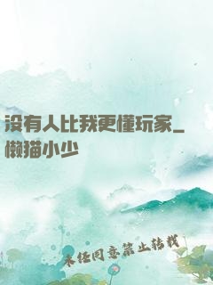 没有人比我更懂玩家
