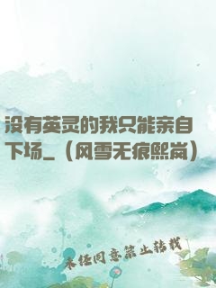 没有英灵的我只能亲自下场