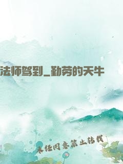 法师驾到