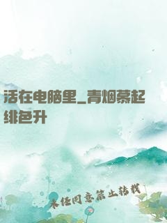活在电脑里