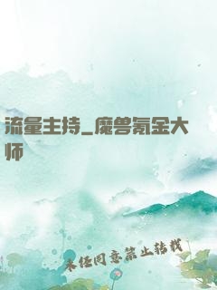 流量主持