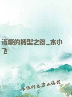 流量的转型之路