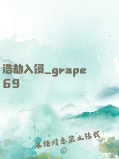 浩劫入侵