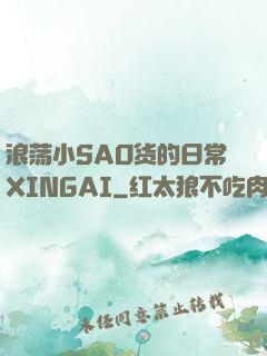 浪荡小SAO货的日常XINGAI