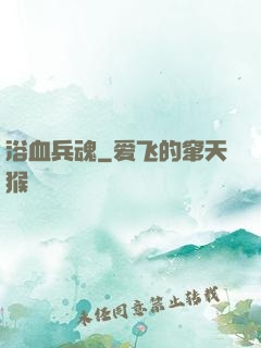 浴血兵魂
