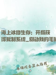 海上冰路生存：开局获得复制系统