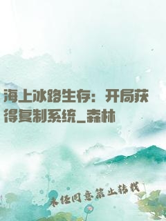 海上冰路生存：开局获得复制系统