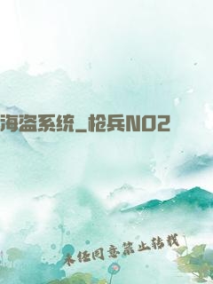 海盗系统