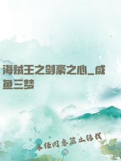 海贼王之剑豪之心