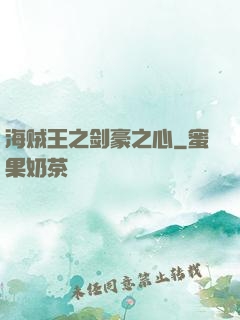 海贼王之剑豪之心