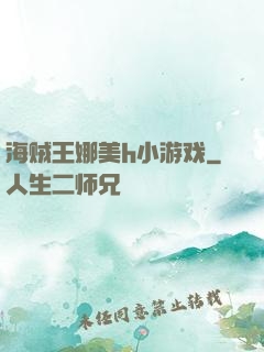海贼王娜美h小游戏