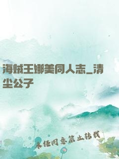 海贼王娜美同人志