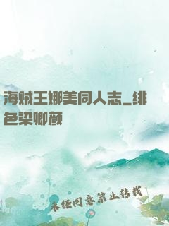 海贼王娜美同人志