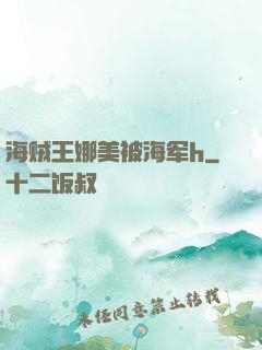 海贼王娜美被海军h