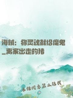 海贼：将灵魂献给魔鬼