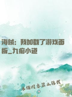 海贼：我加载了游戏面板