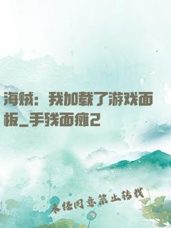 海贼：我加载了游戏面板