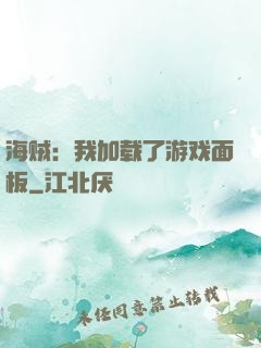 海贼：我加载了游戏面板