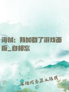 海贼：我加载了游戏面板
