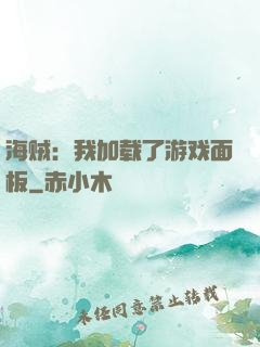 海贼：我加载了游戏面板