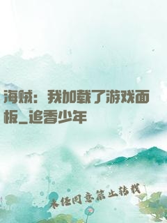 海贼：我加载了游戏面板