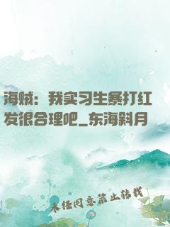 海贼：我实习生暴打红发很合理吧