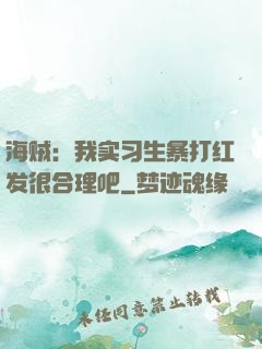 海贼：我实习生暴打红发很合理吧