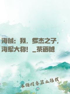 海贼：我，罗杰之子，海军大将！