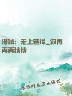 海贼：无上选择