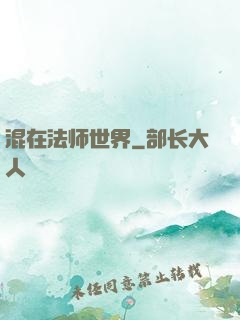 混在法师世界